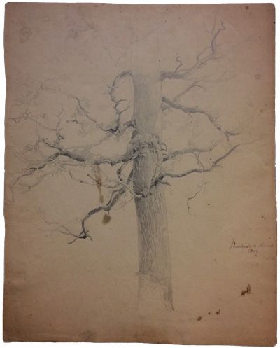 baumstudie-steinbach-400-bleistift.jpg