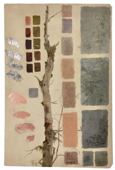 bildstudie-baumstamm-und-farbe-blau-und-rosa-400-bleistift.jpg