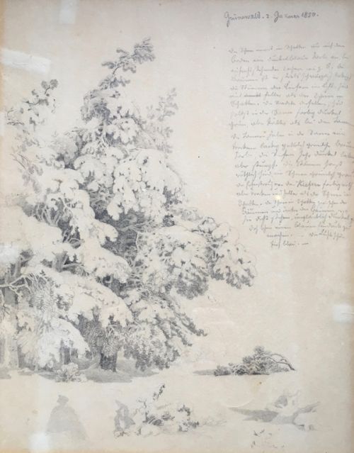 Grünewald (Schneelandschaft)