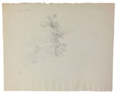 straeucher-und-buesche-graefrath-500-bleistift.jpg
